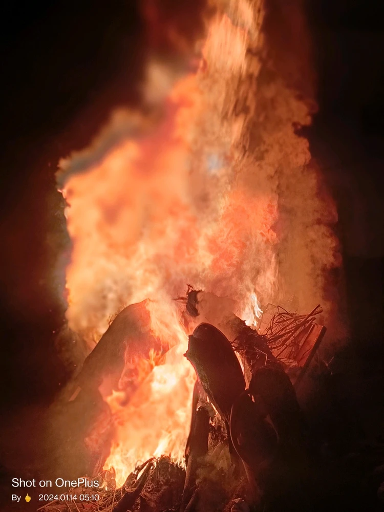 భోగి శభాకాంక్షలు