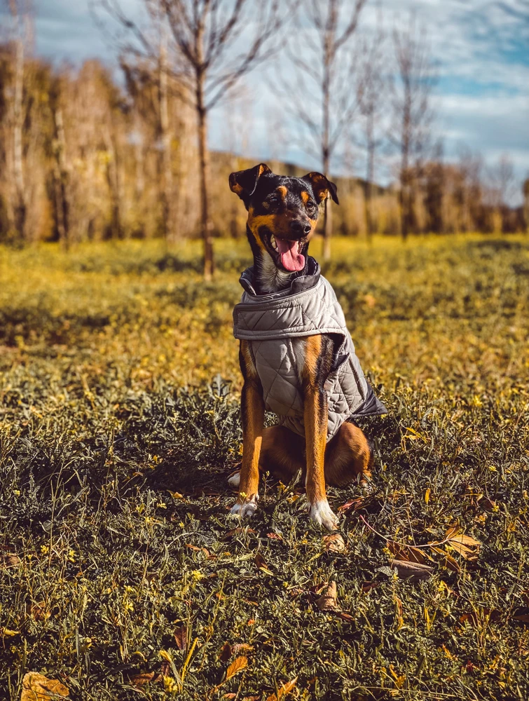 ¡Buenos y helados días!