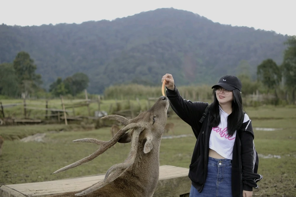 Gambar diunggah oleh Lesta