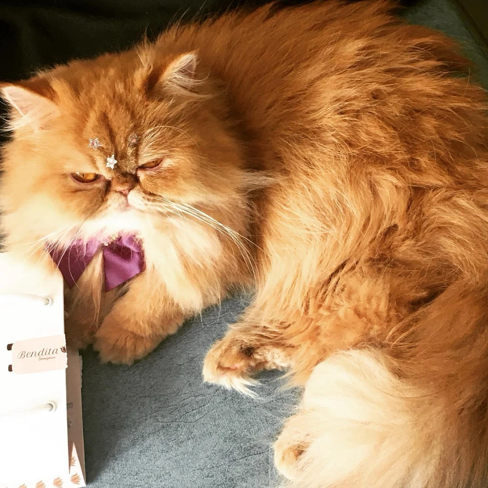 Image uploaded by Esther