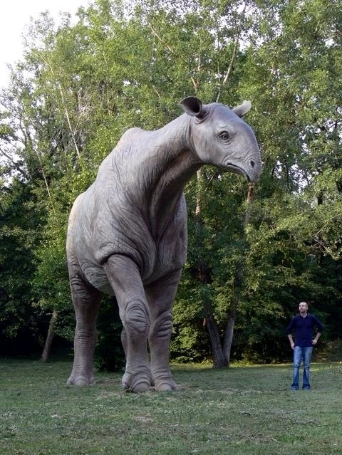 Image uploaded by Frank Toth