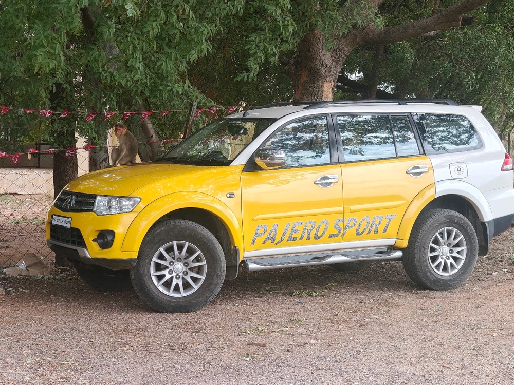 Which colour do you prefer for car?