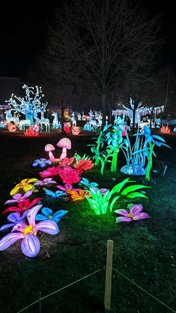 Obrázek nahrál Pavlína