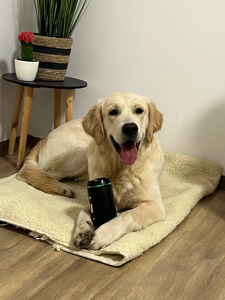 Patrik által feltöltött kép