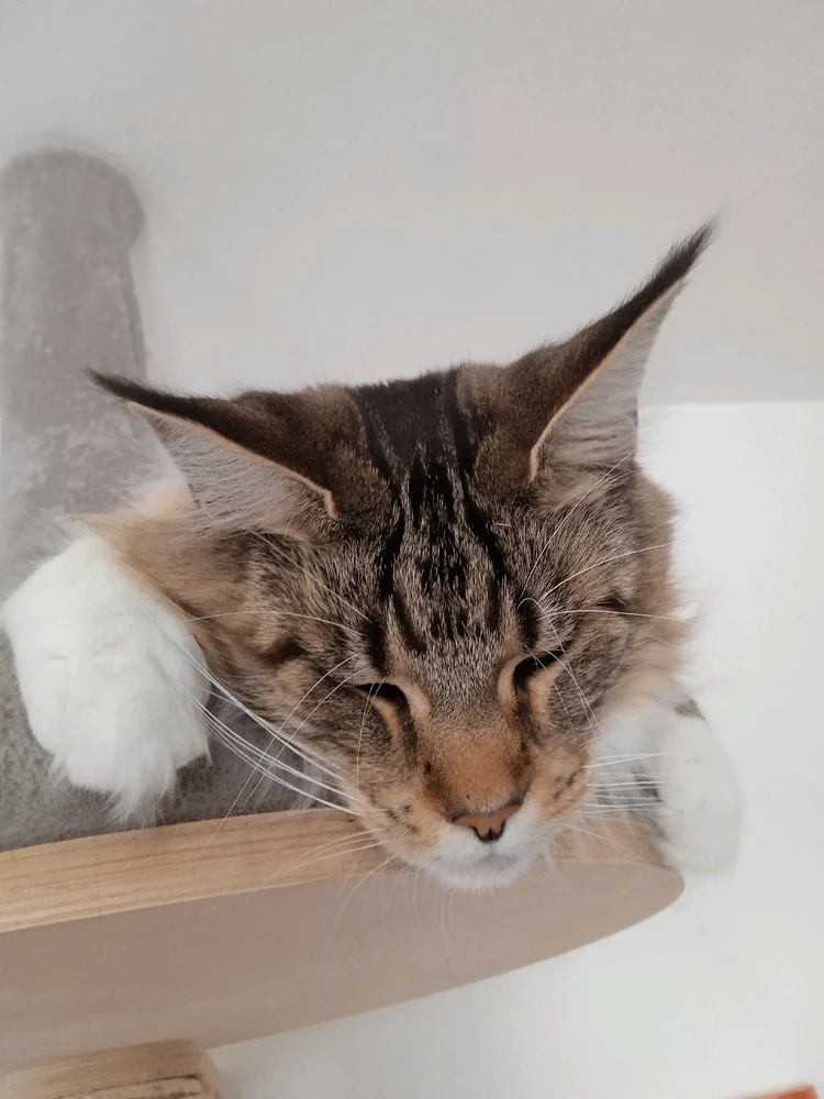 Immagine caricata da Andre