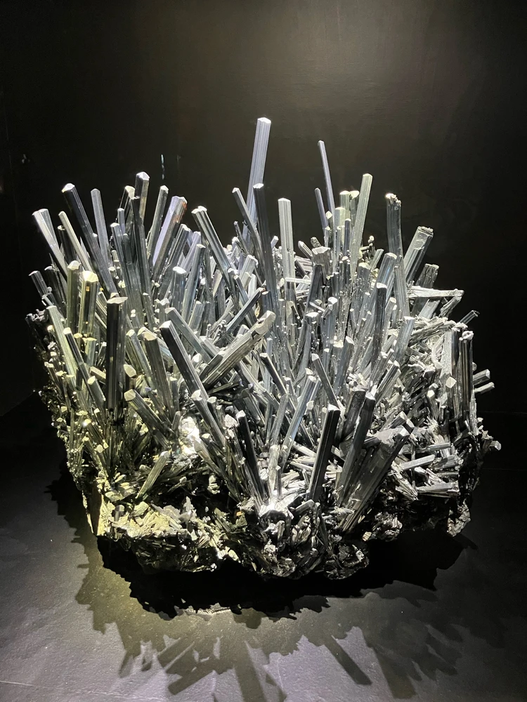 Image uploaded by Bogdan