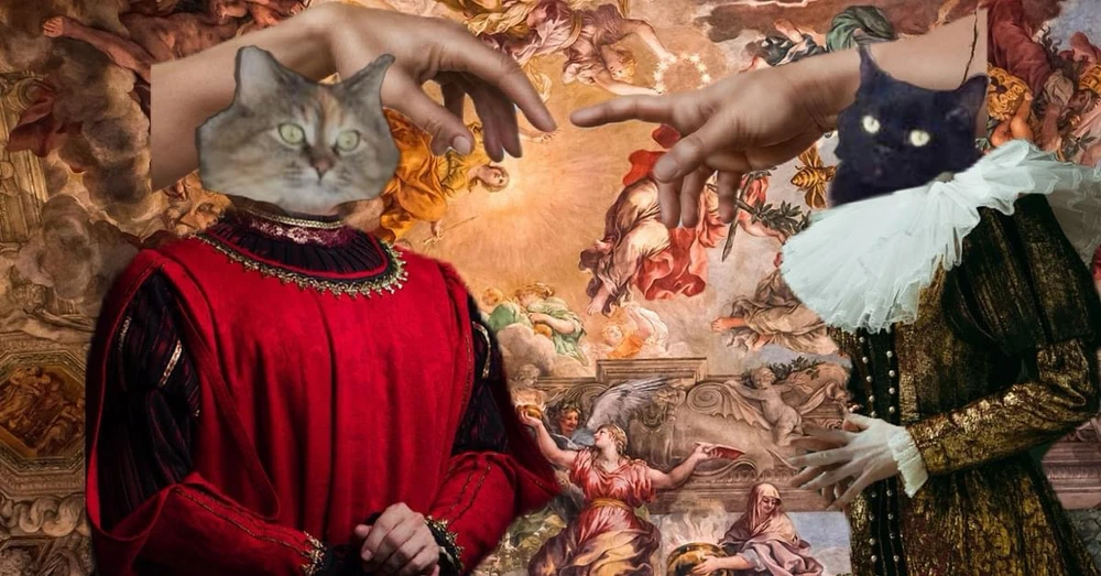 Image uploaded by Tea