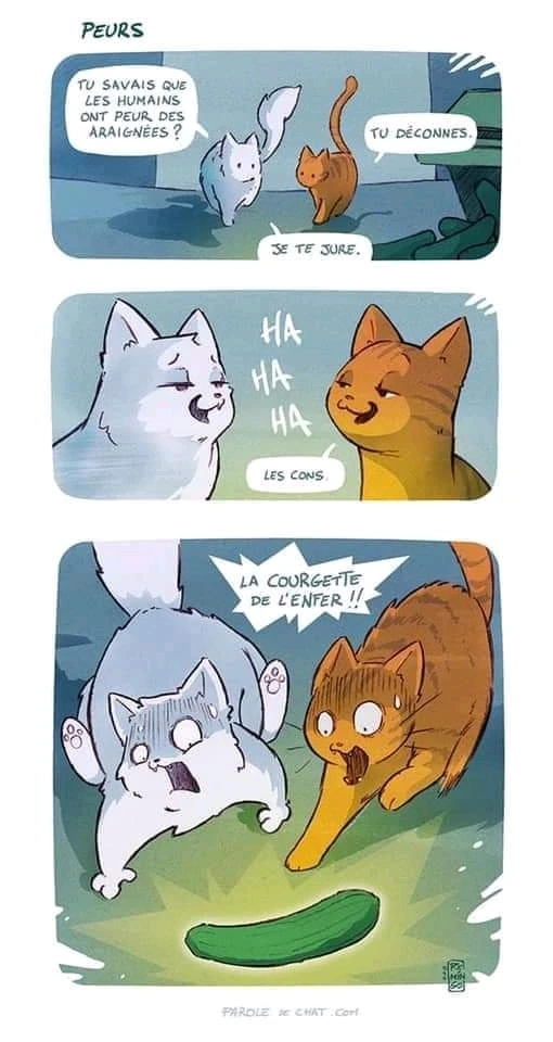 Image ajoutée par André