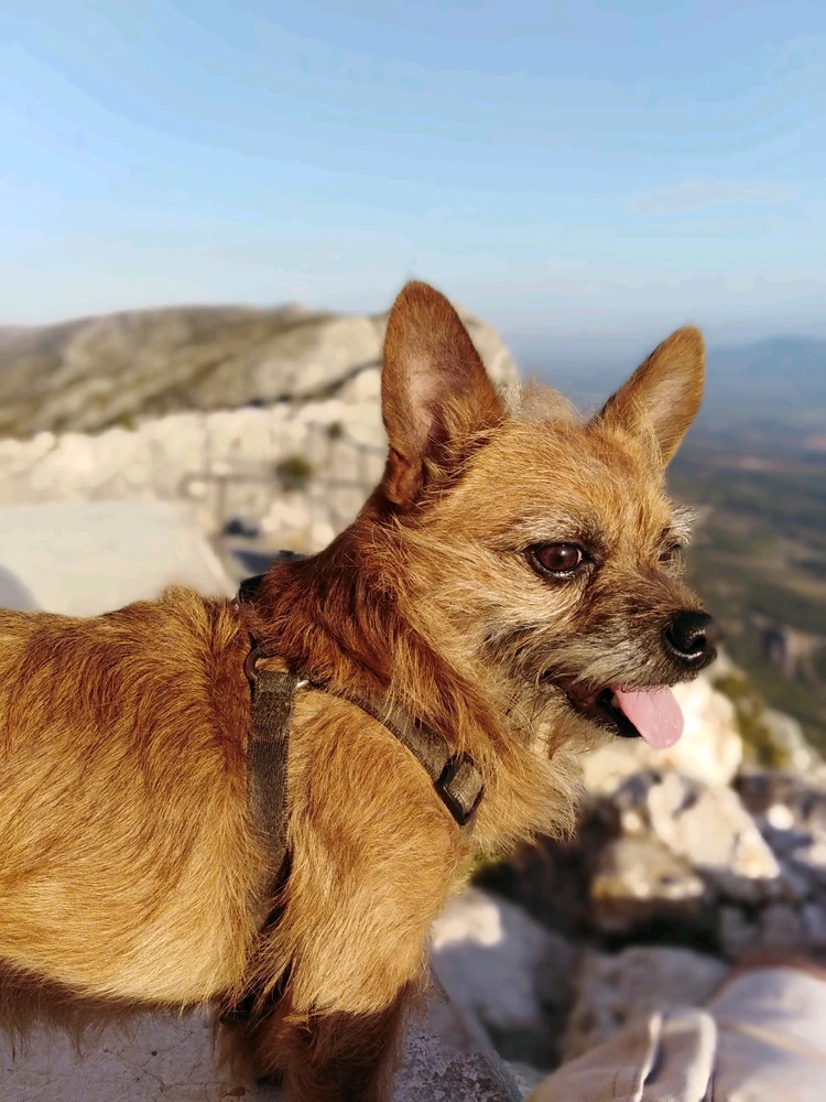 Image ajoutée par Raphaël