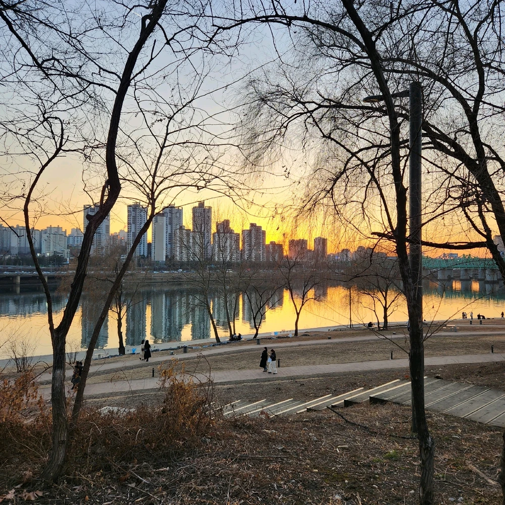 고아진님이 올린 사진