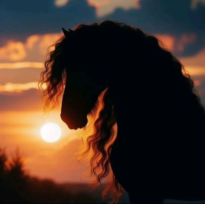 صورة رفعها Nour