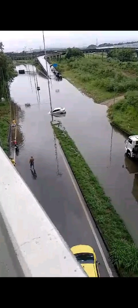 Image uploaded by Erick