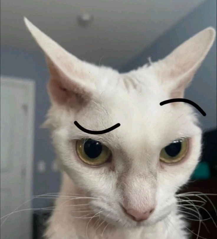 Imagen subida por Brissa