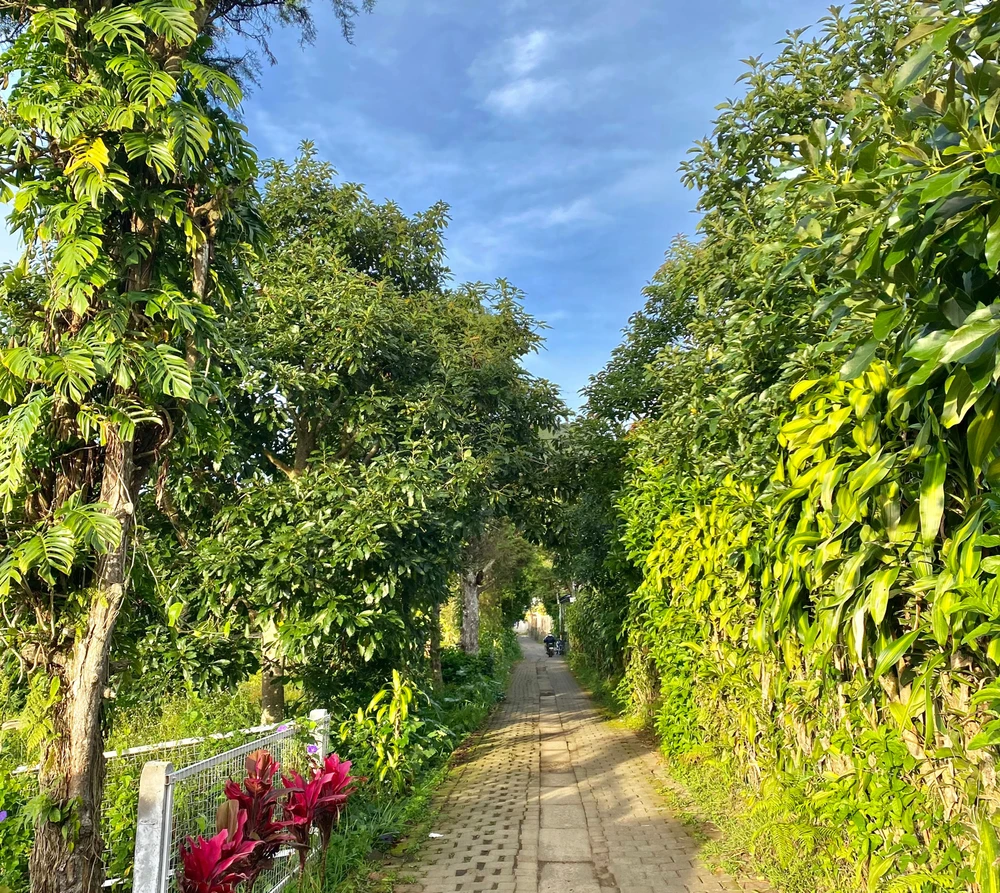 Gambar diunggah oleh Yohana