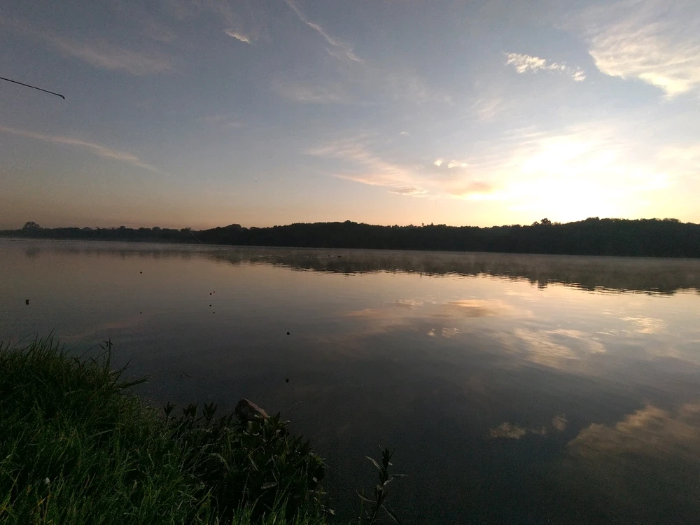 Image uploaded by Johnny Roux