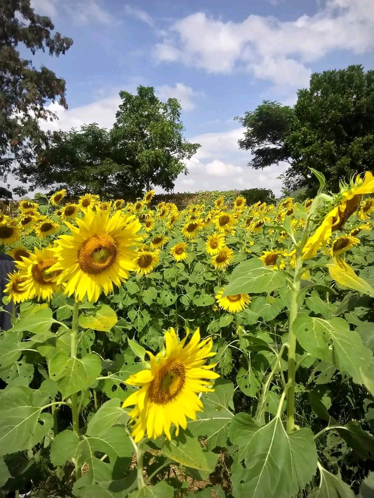 Image uploaded by Kate