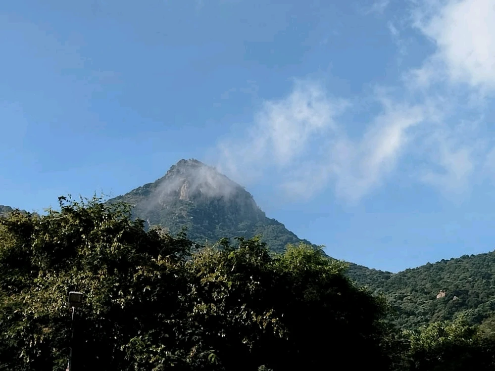 Sandhya๋์ด ์ฌ๋ฆฐ ์ฌ์ง