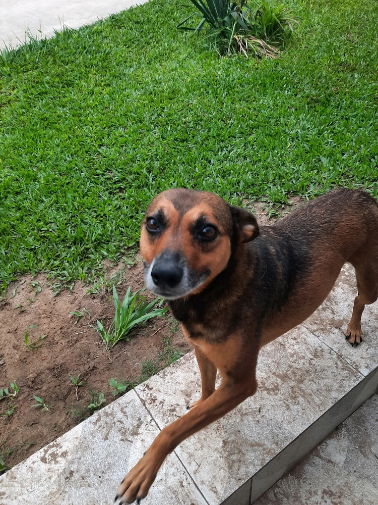 Imagen subida por Juan Diego