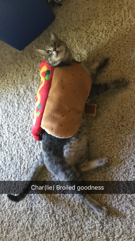 Image uploaded by Makaylah