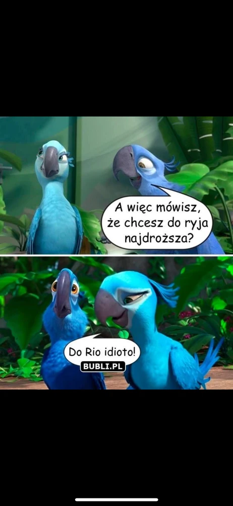 Zdjęcie dodane przez Michal