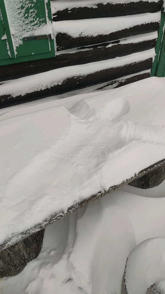 Зображення завантажив Evgen