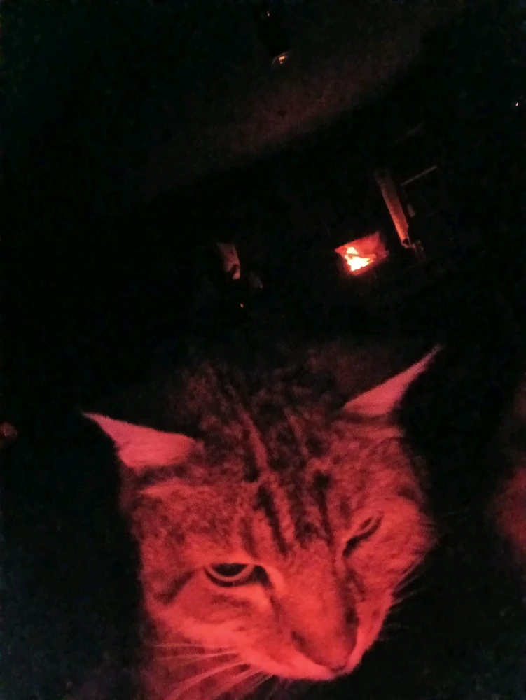 Sliku je postavio/la Kris