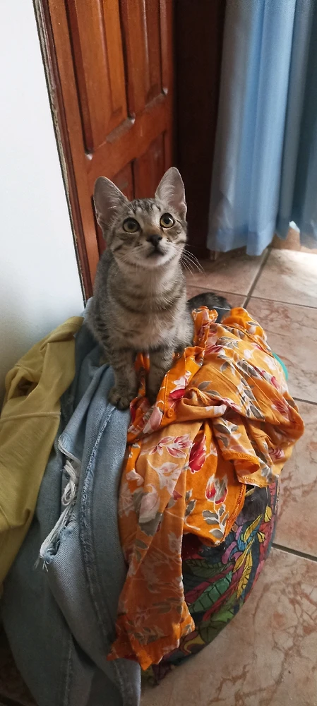 Imagem enviada por Maíra