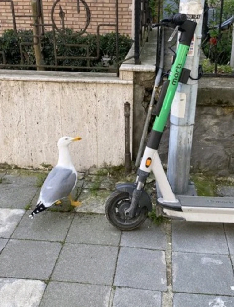 Mert7 tarafından yüklenen görsel