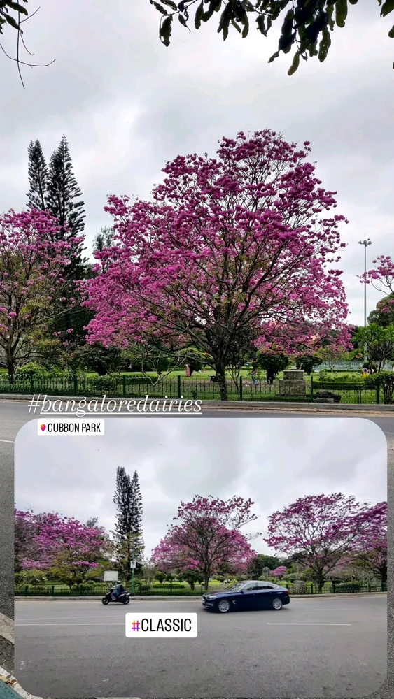 Image uploaded by Madan M R