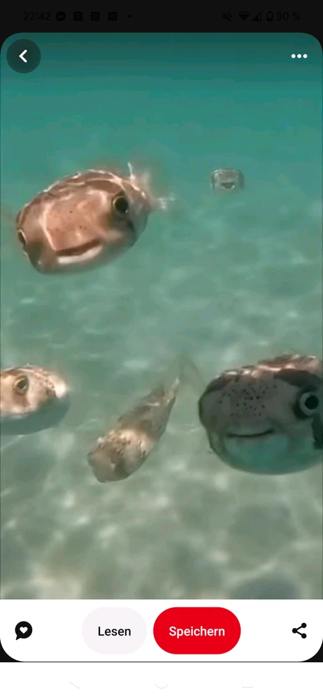 Bilde lastet opp av Sarah