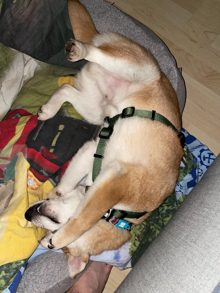 Bild hochgeladen von Ronny