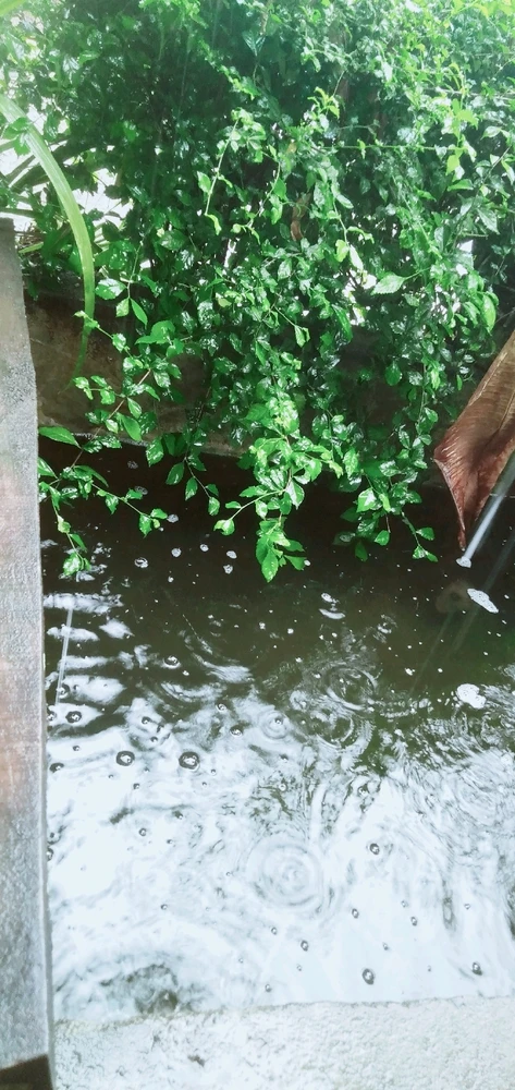 Gambar diunggah oleh Cun