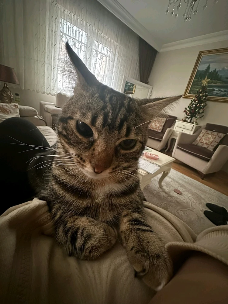 İlker tarafından yüklenen görsel