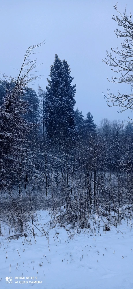 Bild hochgeladen von Yen