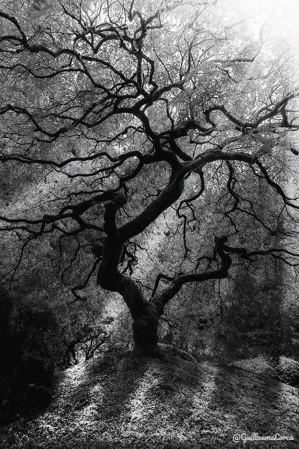 Image ajoutée par Guillaume