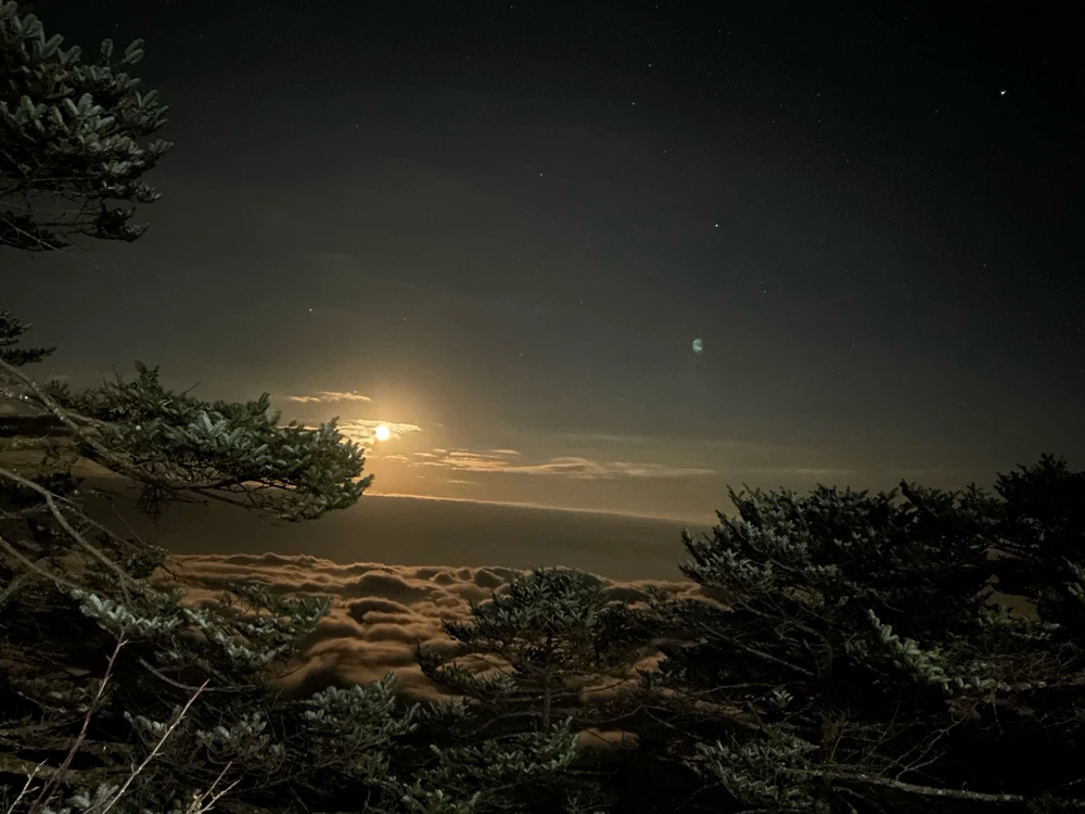 Image uploaded by Aryan