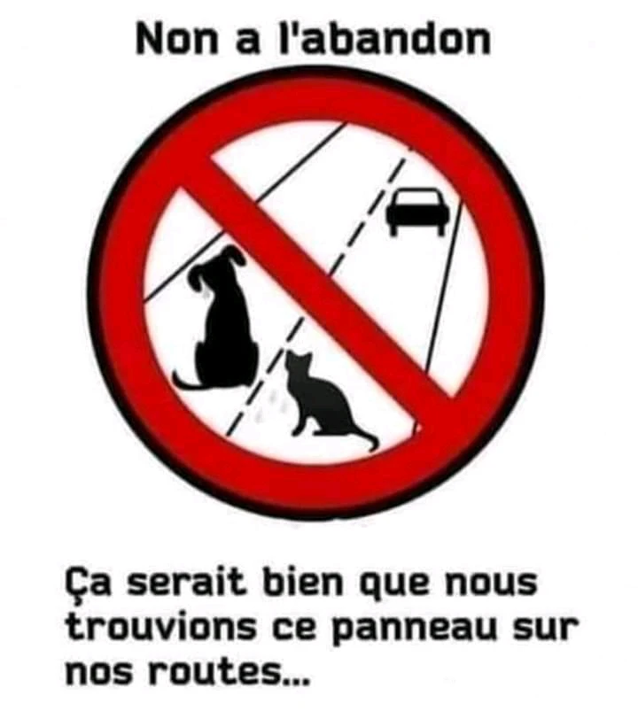 Image ajoutée par Sylvain