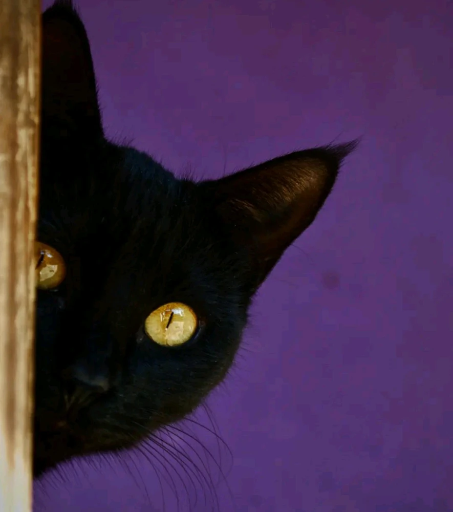 Por cierto, es una de las tantas fotos que le sacó. Siy fotógrafo y ella es mi principal modelo. 