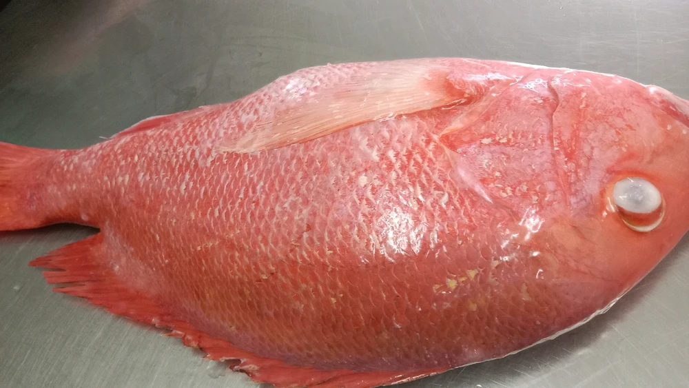 Gambar diunggah oleh SIA