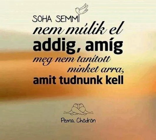 Thea által feltöltött kép