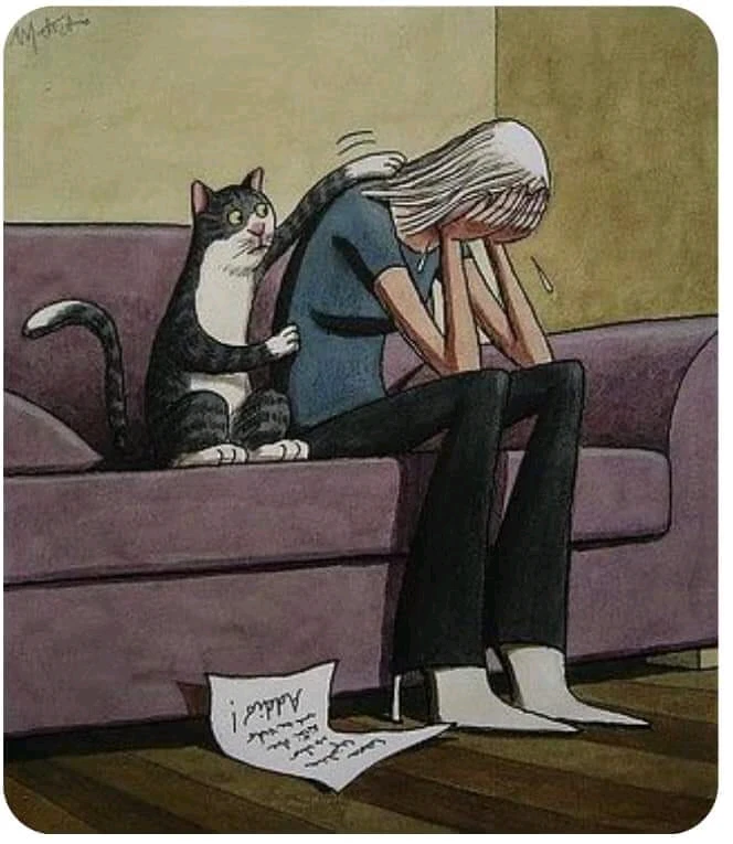 Image ajoutée par 千卂几ㄒㄖ爪乇ㄒㄒ乇 🎀🎈💡