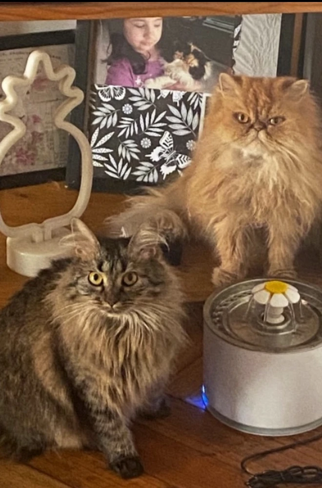 Image uploaded by Esther