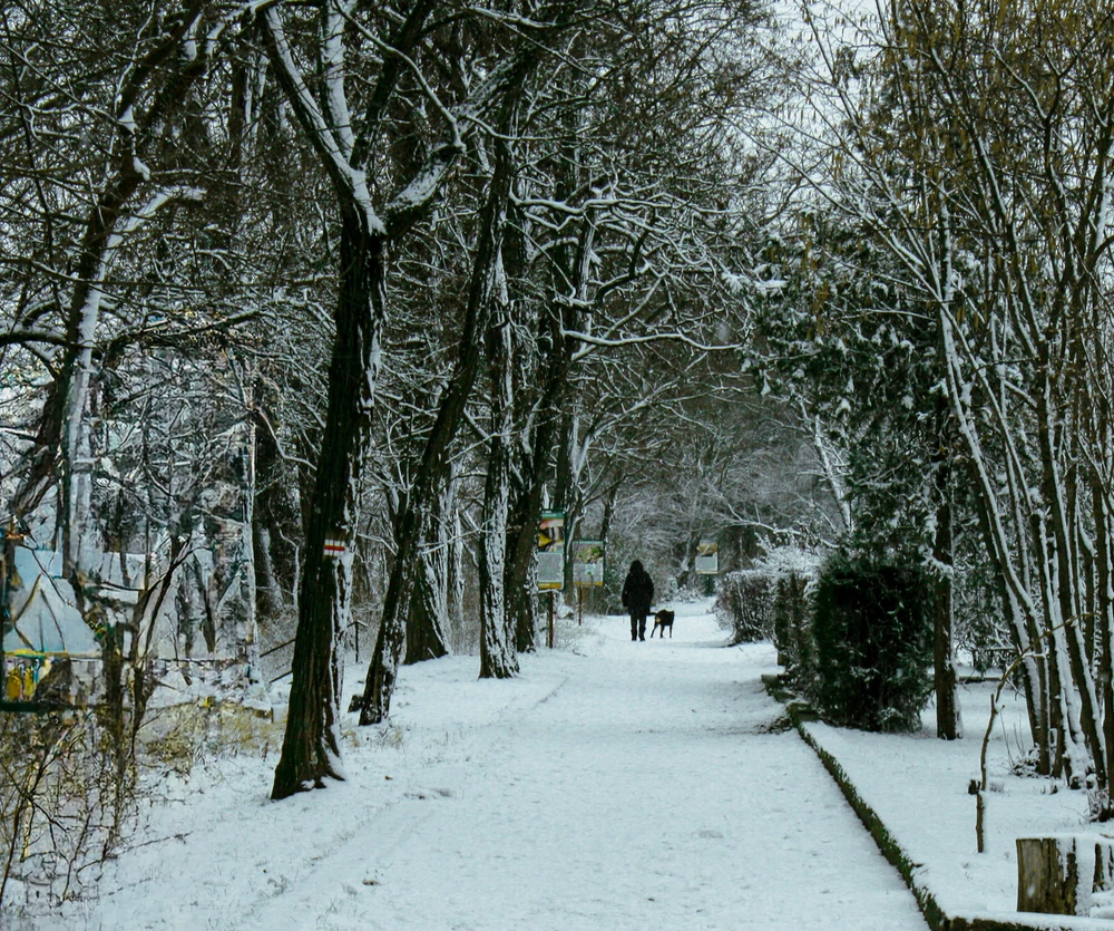 Zoltan által feltöltött kép