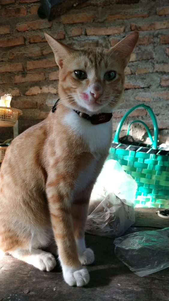 Image uploaded by Hwi_Dwi