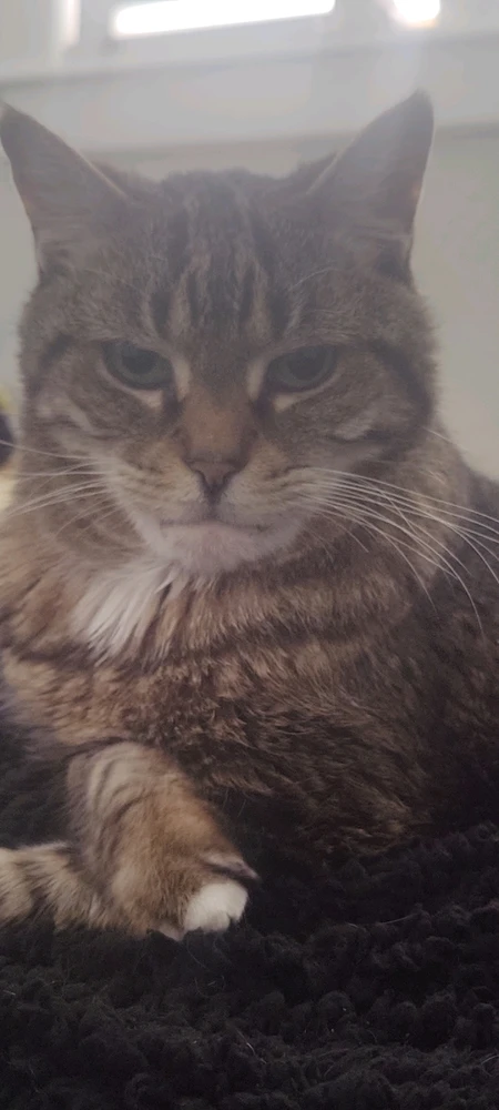 Image uploaded by Justice