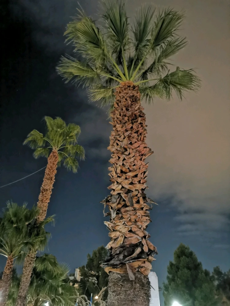 Εικόνα από Σπύρος