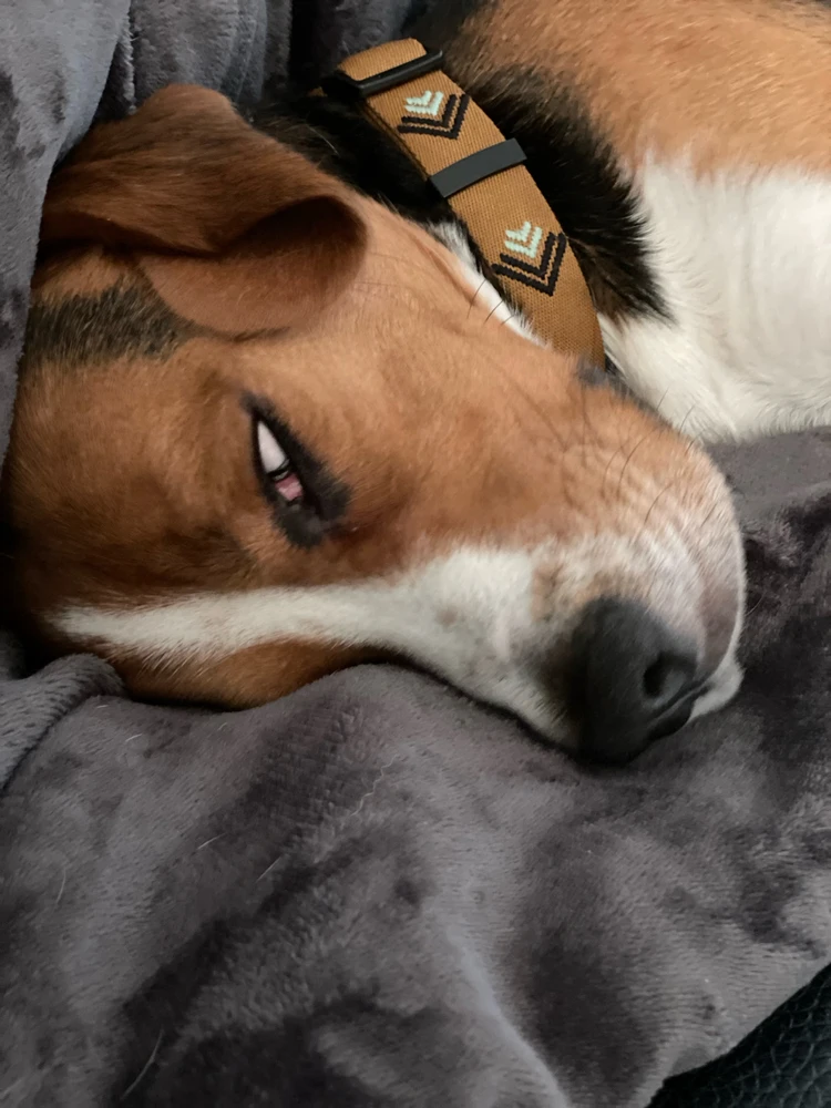 Bild hochgeladen von Ronny