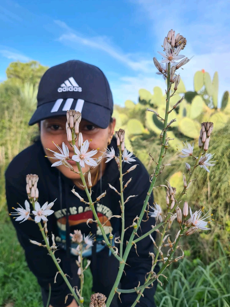 Image uploaded by Rhe