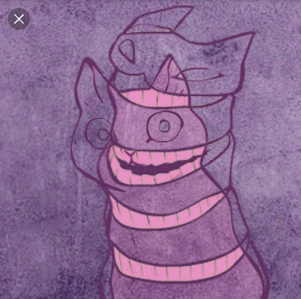 Image uploaded by Chris