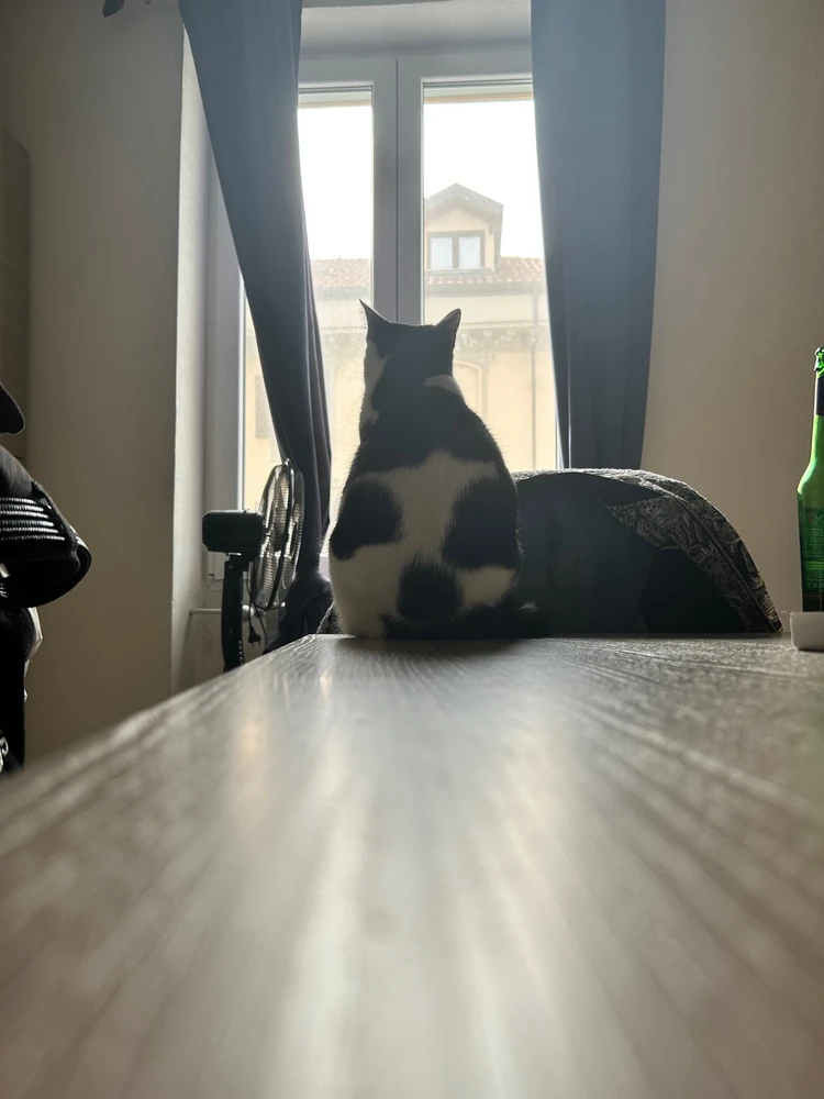 Immagine caricata da Stefano